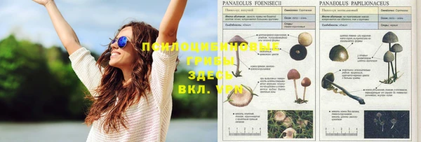кристаллы Нефтекумск