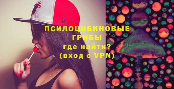 стаф Абинск