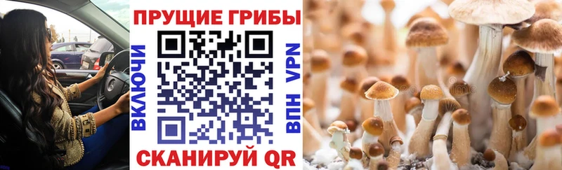 Псилоцибиновые грибы Magic Shrooms  Мамадыш 